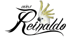 Aves Reinaldo