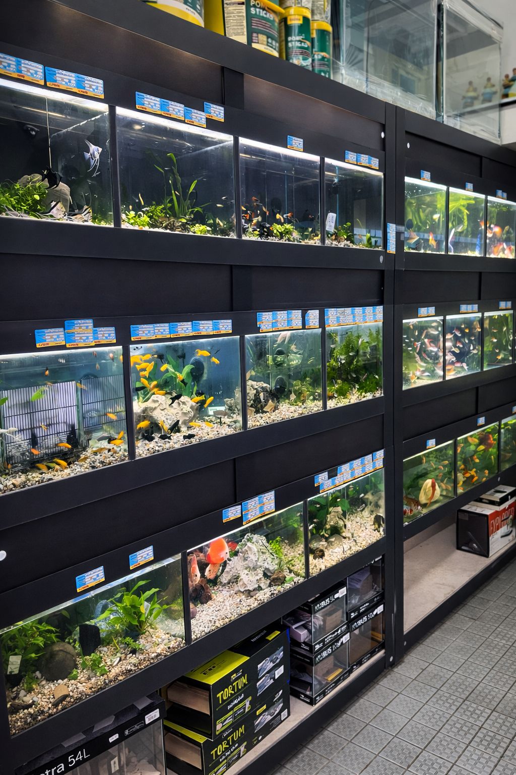 Loja Aves Reinaldo 1