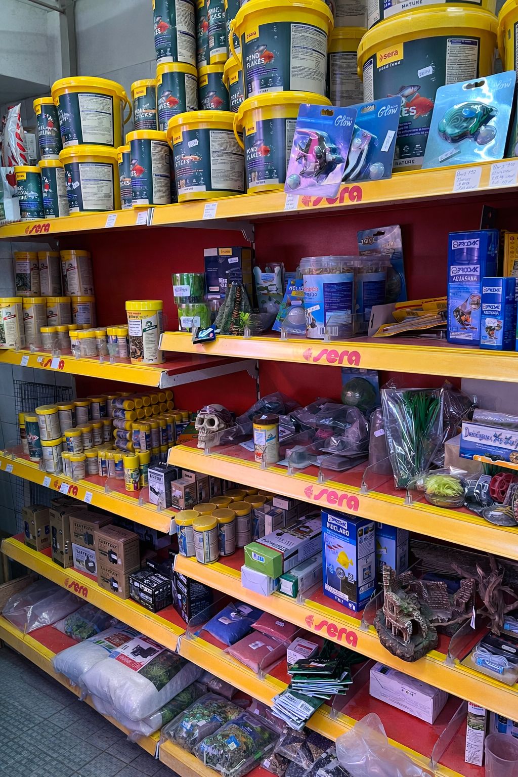 Loja Aves Reinaldo 2