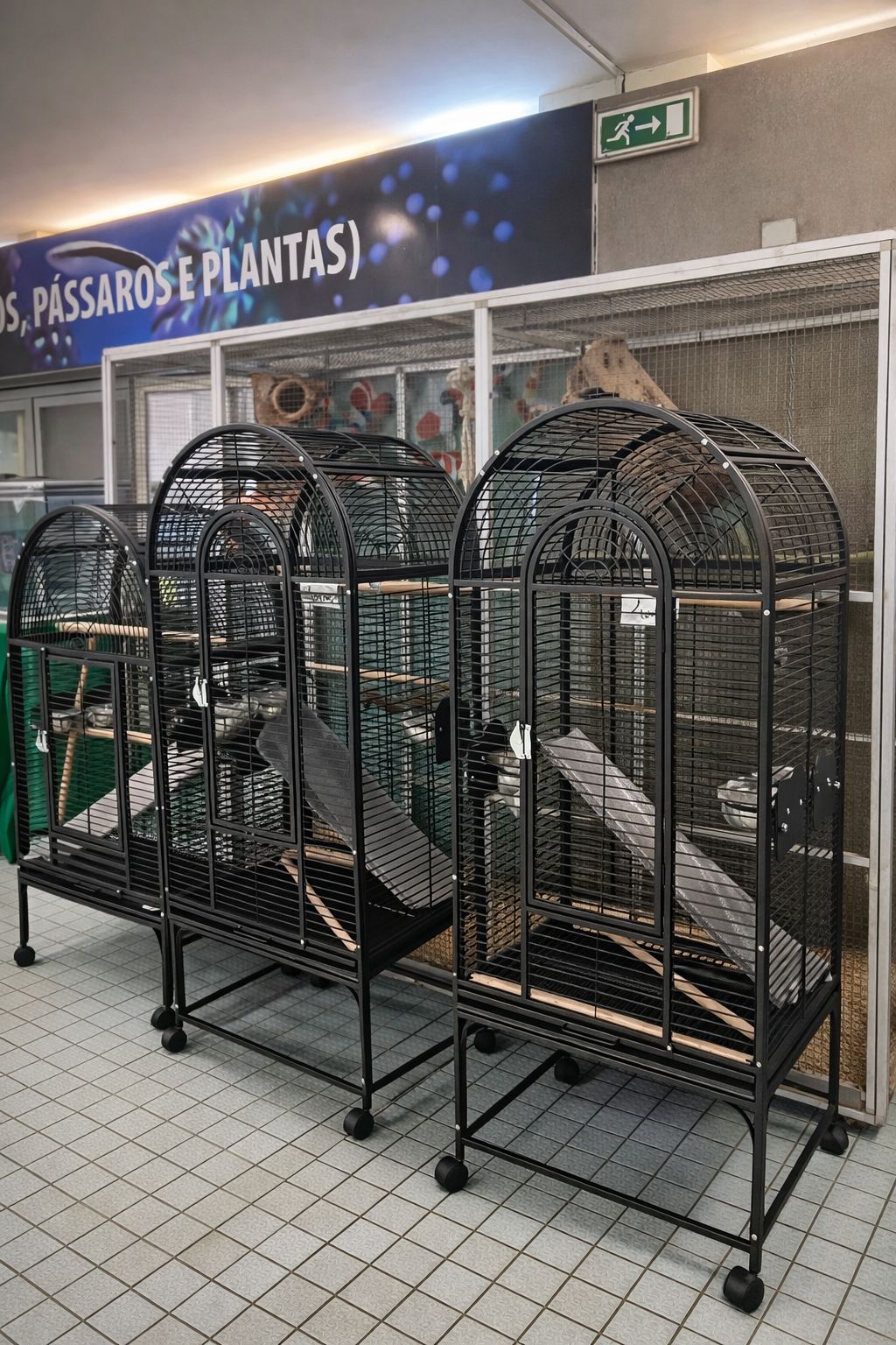 Loja Aves Reinaldo 4