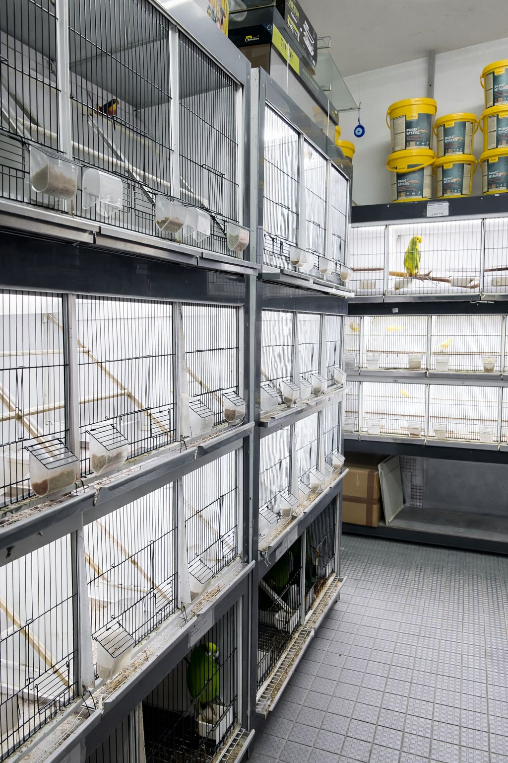 Loja Aves Reinaldo 5